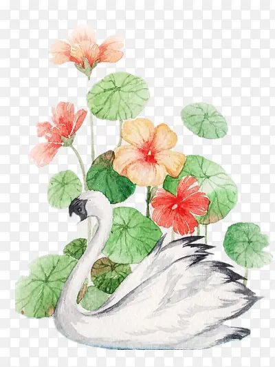 �廭-������