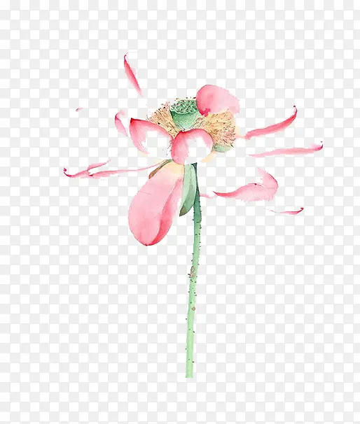 ˮ�ʺɻ�-������