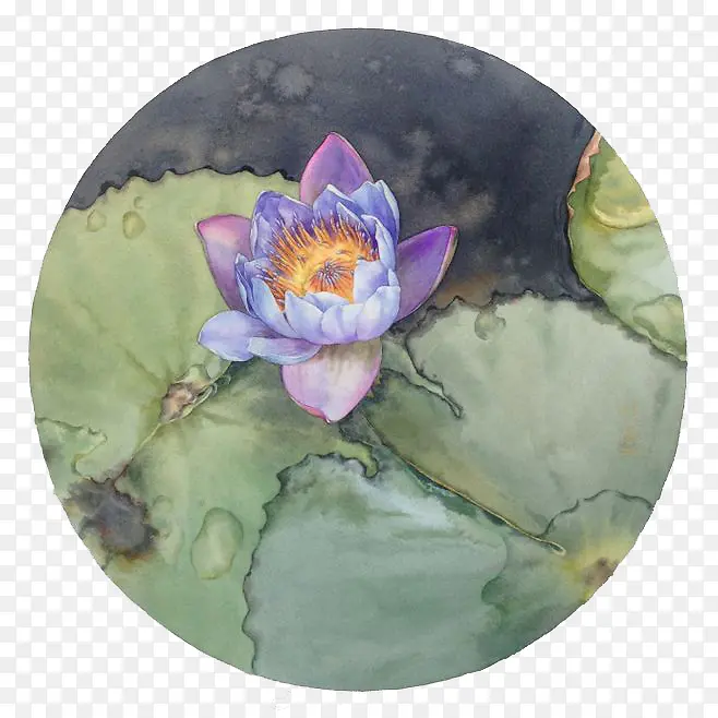 ˮ�ʺɻ�-������