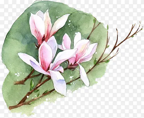 ˮ�ʺɻ�-������