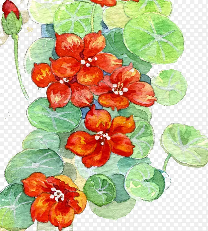 ֲ��-������