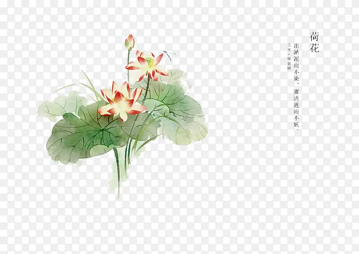 �ֻ滨��-������