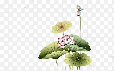 �ֻ�ɻ�-������