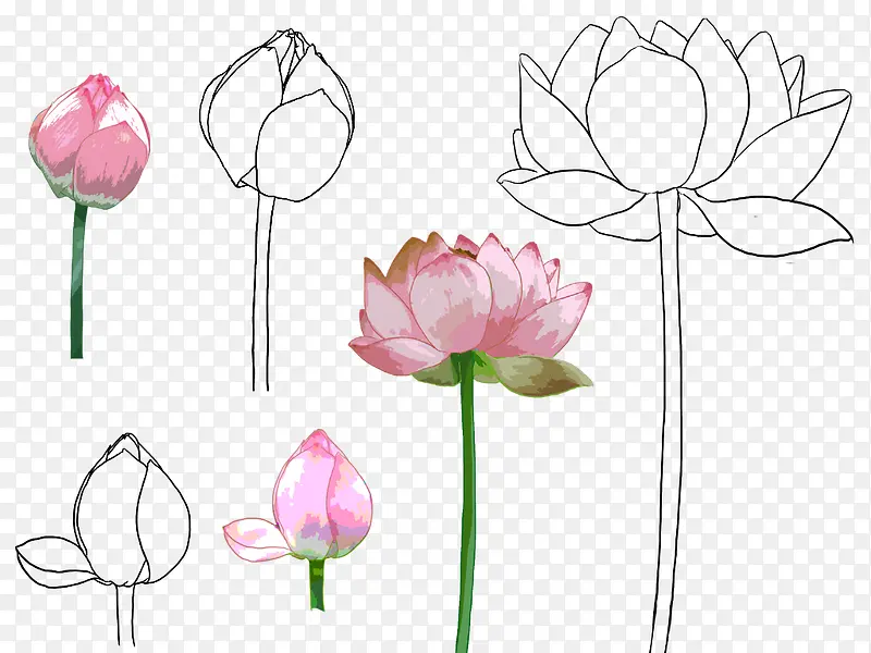 �ֻ�ɻ�-������