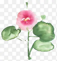 �ֻ�ˮ�ʺɻ�-������