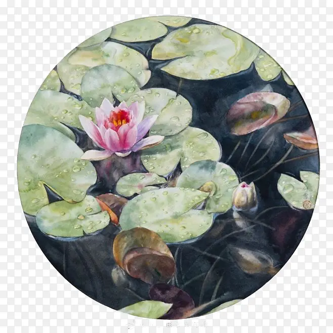 ˮ�ʺɻ�-������