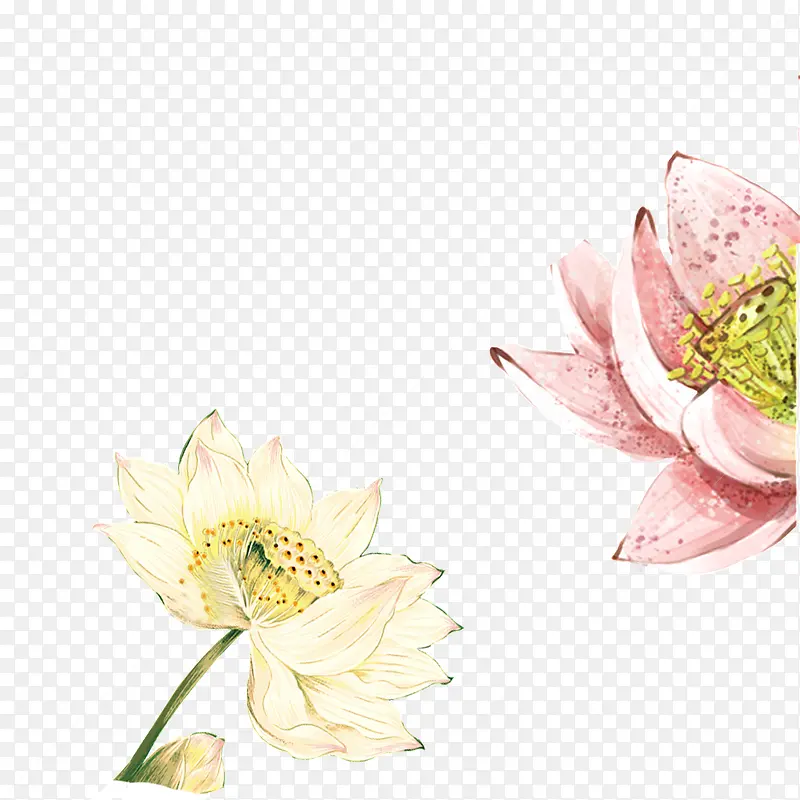 ˮ�ʺɻ�-������