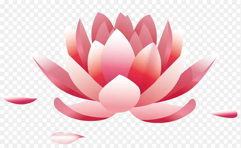 �ɻ��ֻ�ʸ��-������