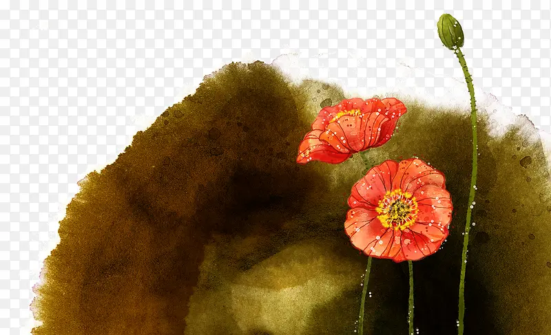 ˮ�ʺɻ�ˮī-������