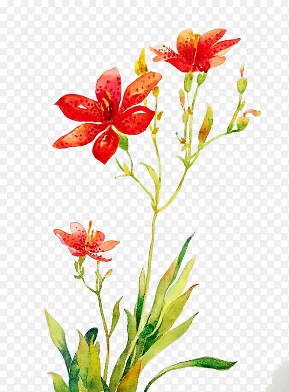 Ψ���ֻ��ʻ�-������