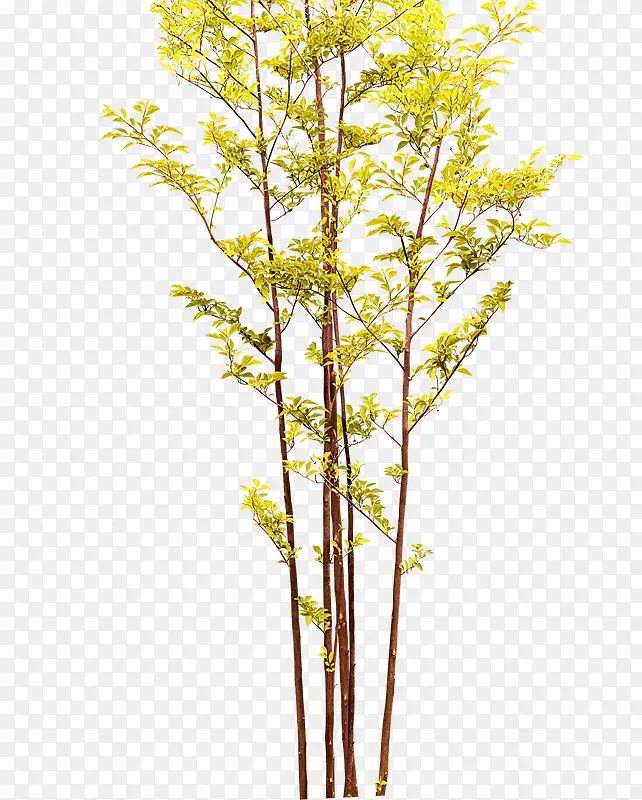 Ψ�����»�����-������