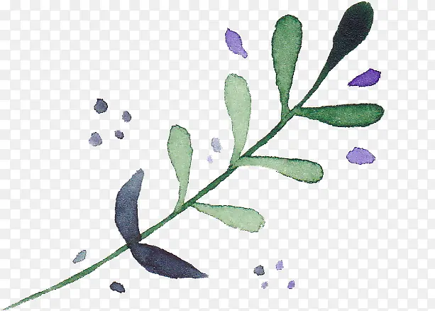 �ֻ�ˮ��-������