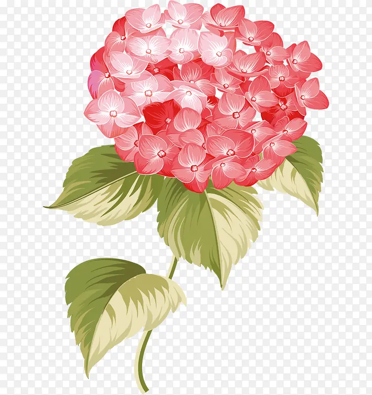 ����Ψ��ˮ�ʷ�ɫ����-������