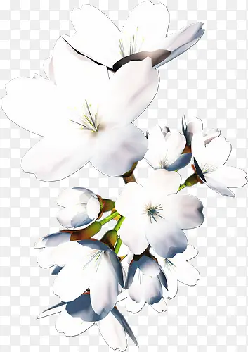 ֲ�ﻨ���زĻ���ps�ز�-������