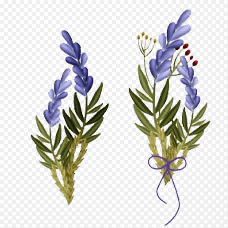 Ψ����ɫ޹�²����ͼ-������