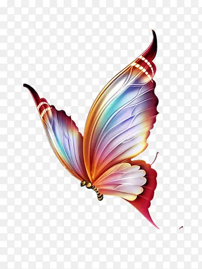 ��ɫ����-������