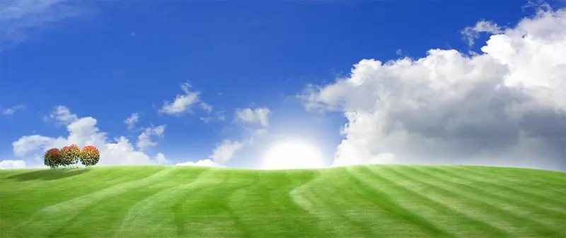 ���²ݵذ��ƺ�������-������