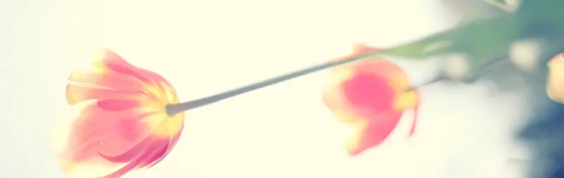 Ψ�����亣������-������