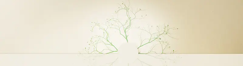 ���ⱳ��-������