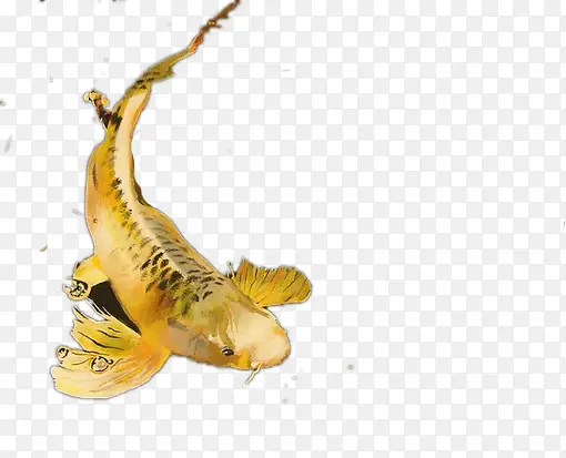 �ʻ���㶯��-������