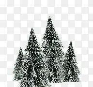 ʥ��������-������