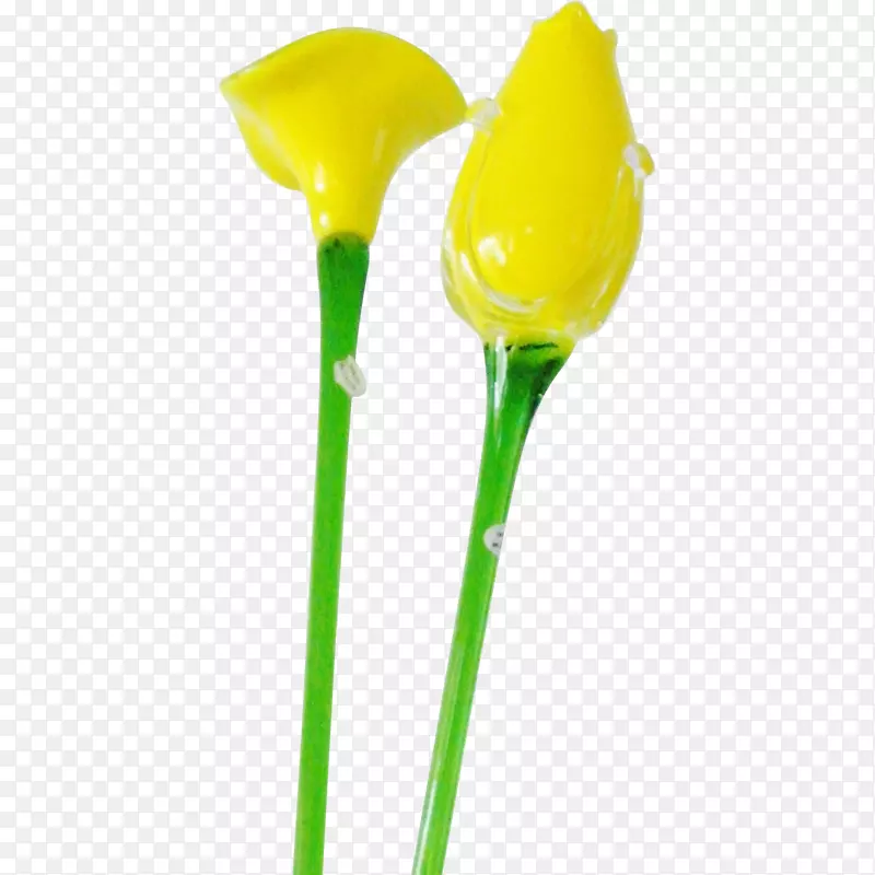 �л���ֲ�ﾥ������ɰ���ٺ�-������֯-������