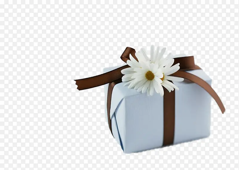 ��ɫ�����-������