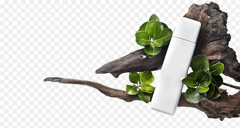 ľ׮�ϵĺ���-������