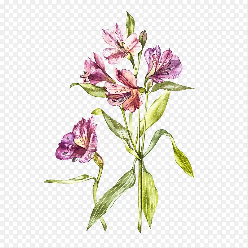 �ֻ�ֲ�ﻨ��-������