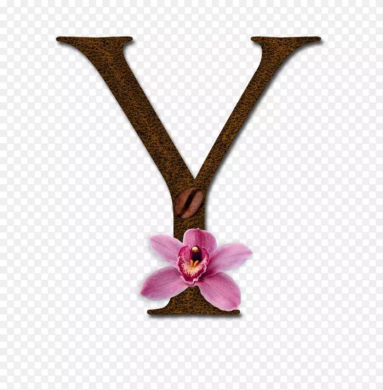 ֪ʶ����ҵ��˹͡�����ݳ������ձ�����-y-������