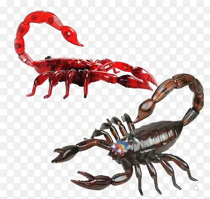 ��ͯ���-������