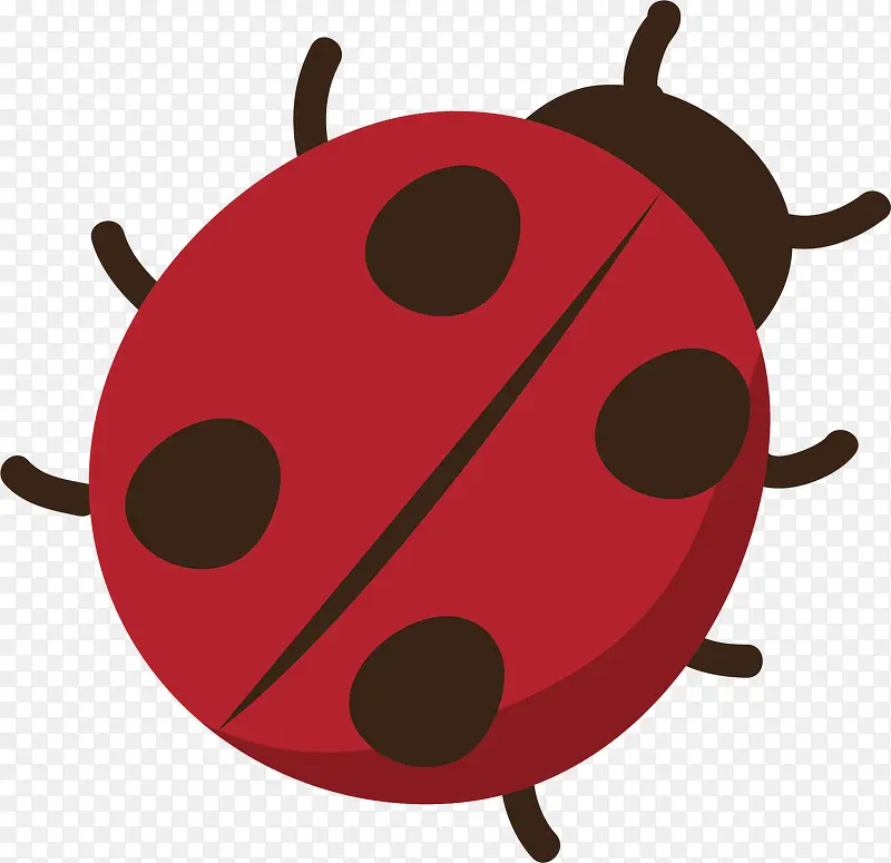 ��ͨ����ʸ��-������