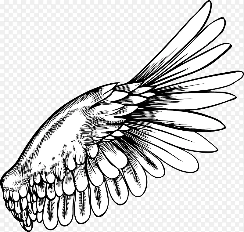 ������-������