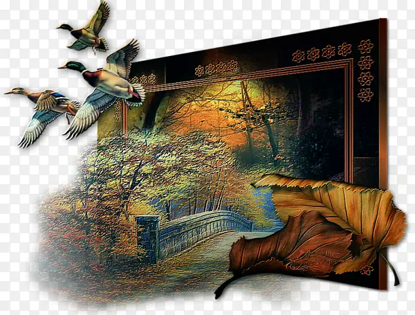 ����е�����-������