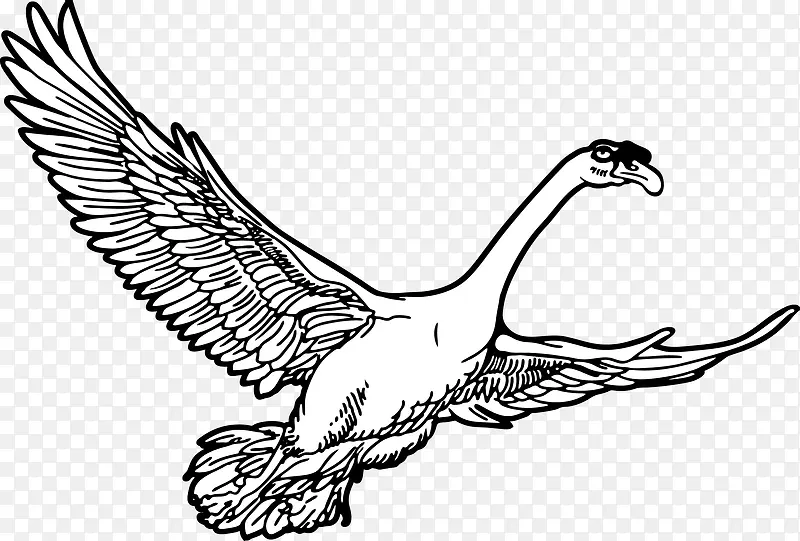 �ֻ����-������