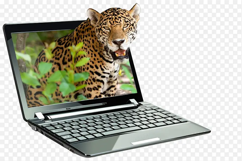 ����-������