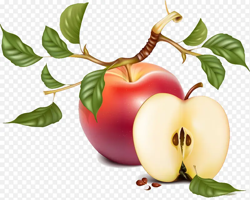 ˮ��-������