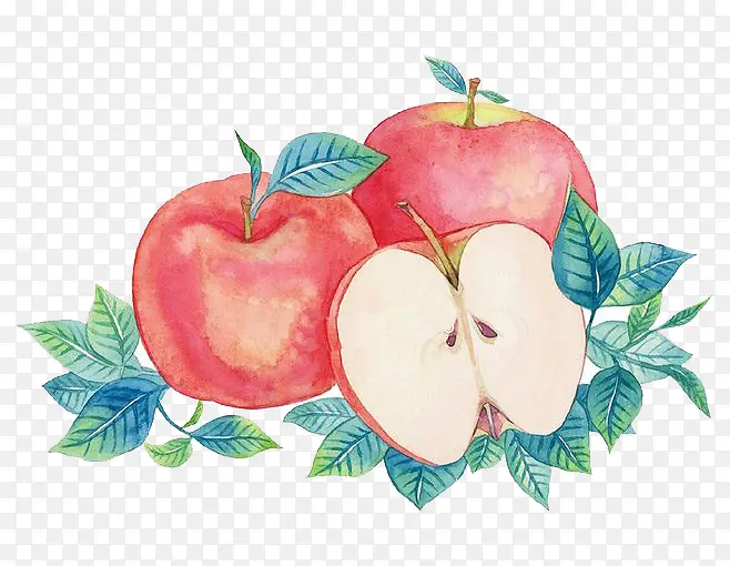 ˮ��ƻ��-������