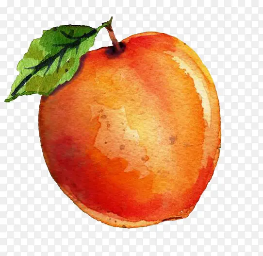 �ֻ�ƻ��-������