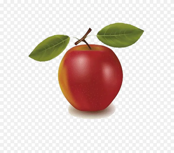 �ֻ�ƻ��-������