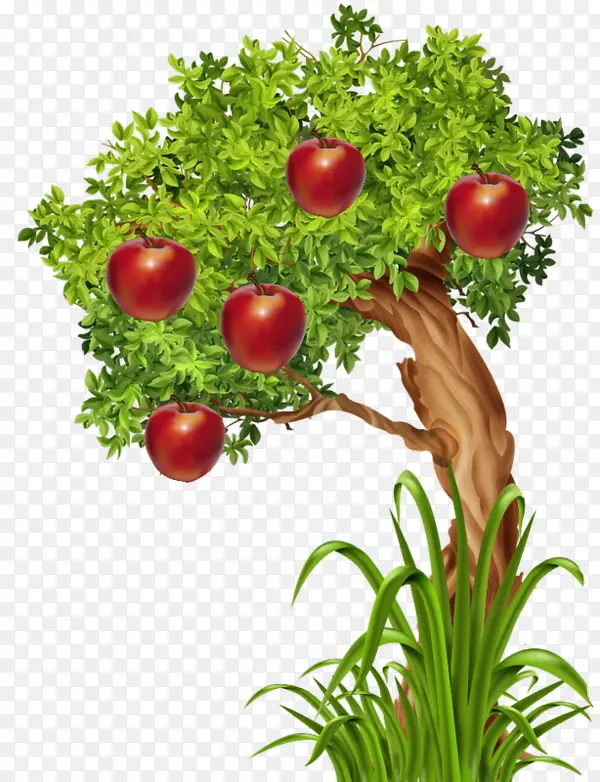 �ֻ�ƻ����-������