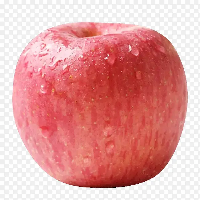 һ��ƻ��-������