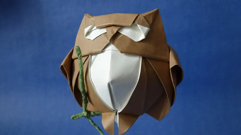 ���⾫Ʒ��ֽװ��-������