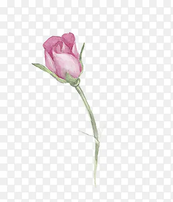 ��ɫǦ���¼���-������