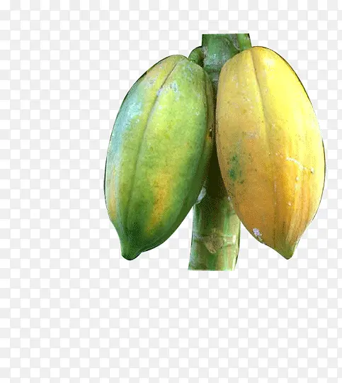 ˮ��ľ��-������