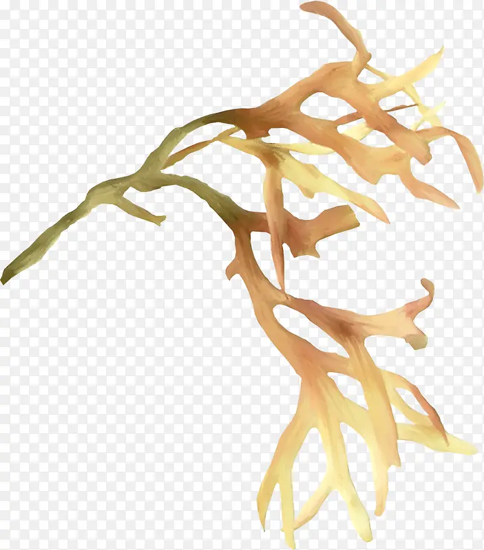 ����-������