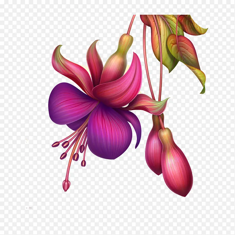 �ֻ��ʻ�-������