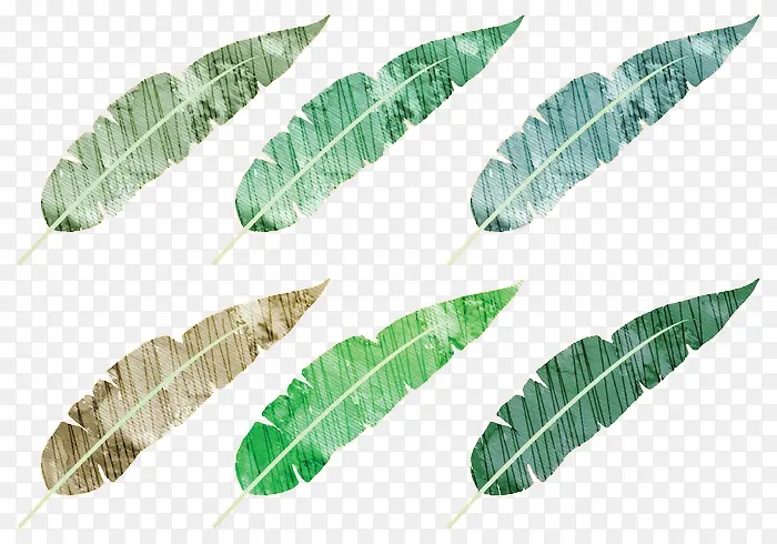 ˮ���ֻ�ֲ��-������