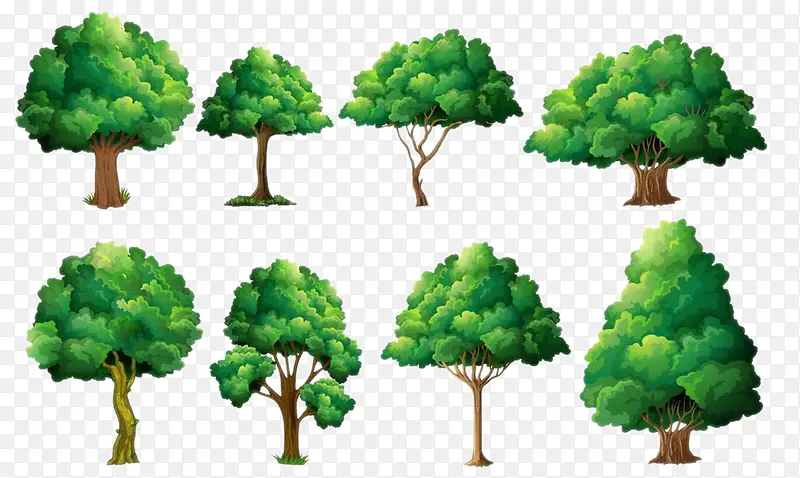 ��ľͼƬ-������