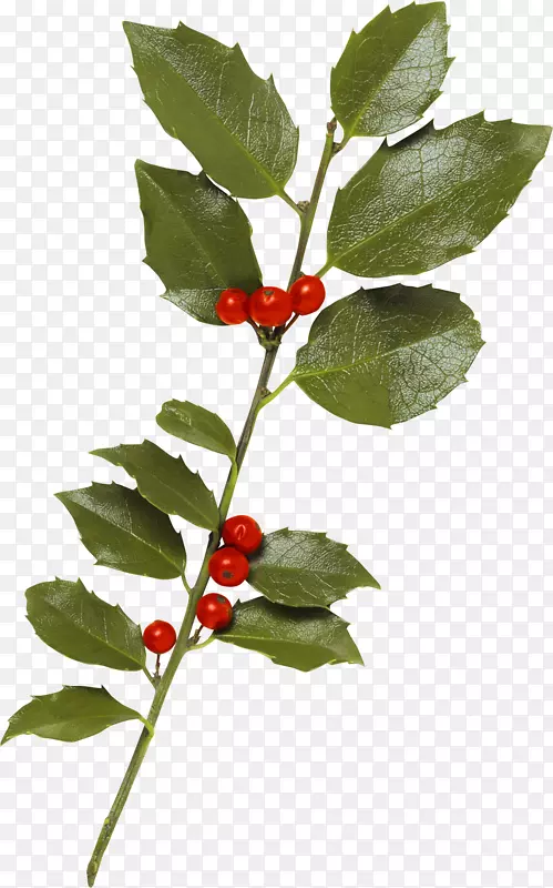 ��������������-������